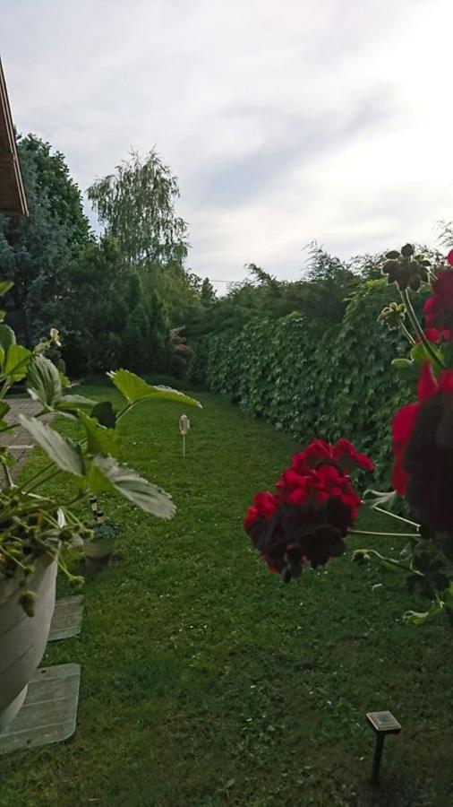 Liliána Vendégház Balatonfůzfő Exterior foto